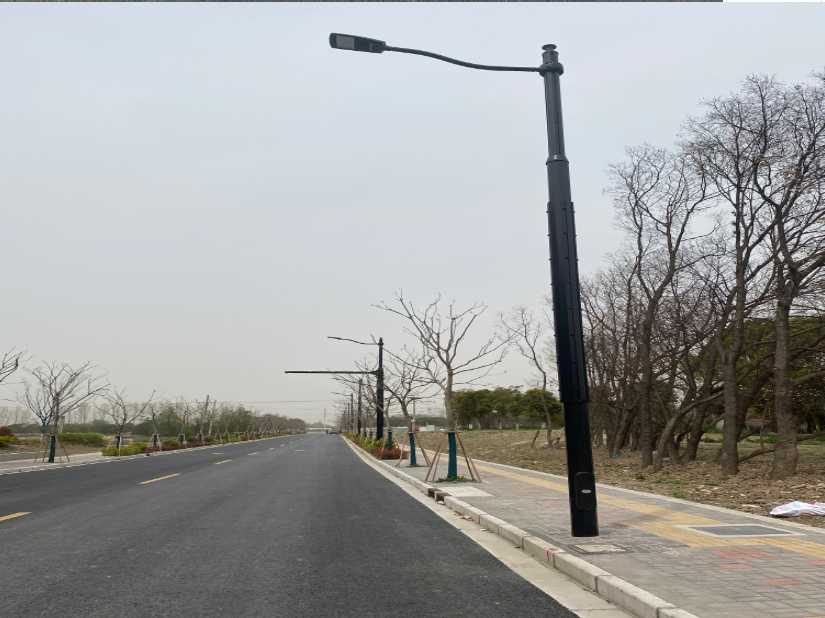 城中区上海综合杆 太阳能路灯工程